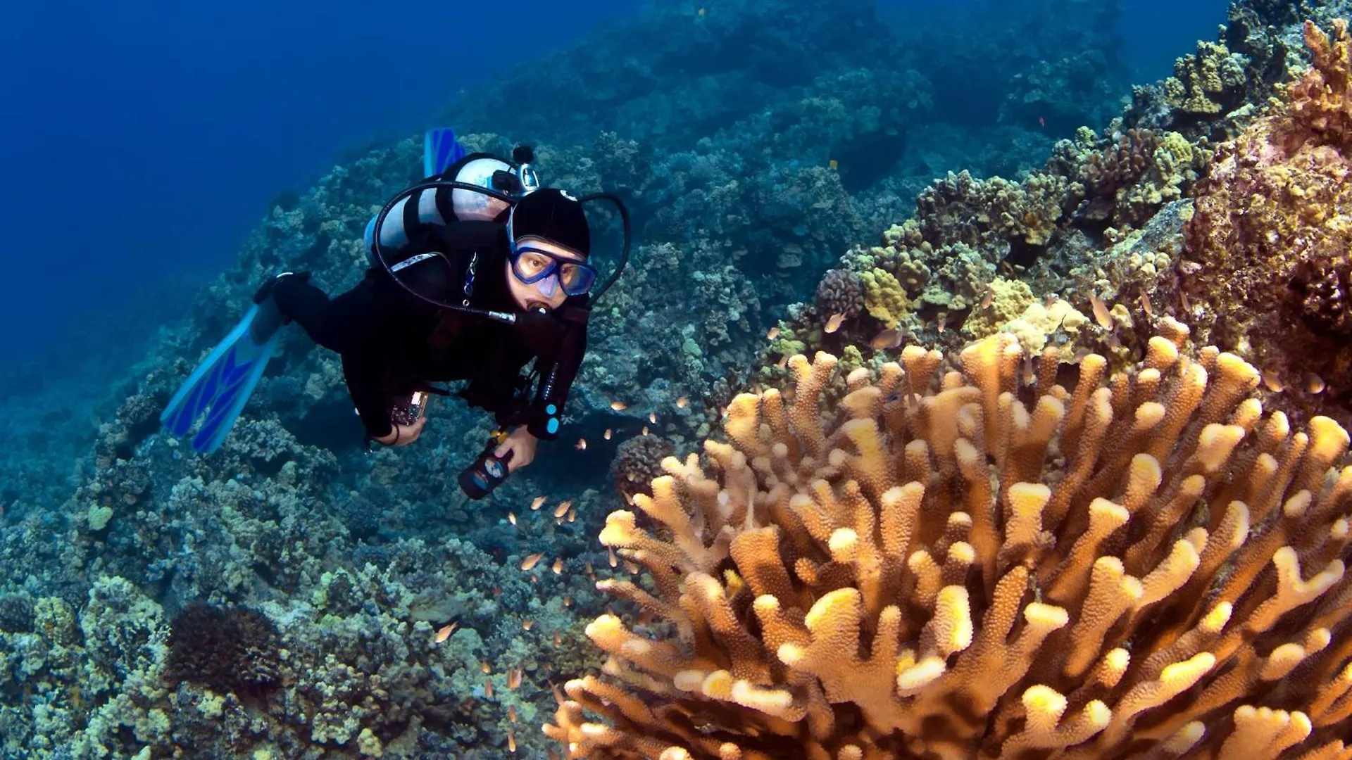 Eldorado E204 Βίλα Kaanapali 0*,  Ηνωμένες Πολιτείες της Αμερικής